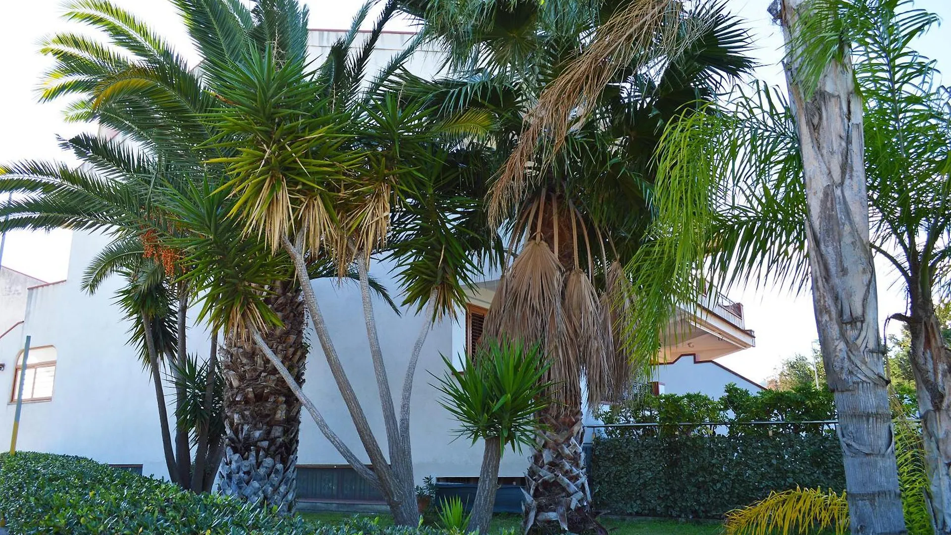 Apartament House Paradise Amedeo Bauso